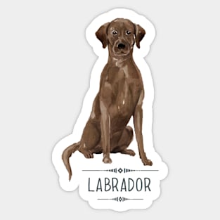 Chocolate Brown Labrador Sticker